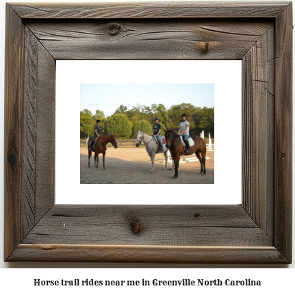 horse trail rides near me in Greenville, North Carolina